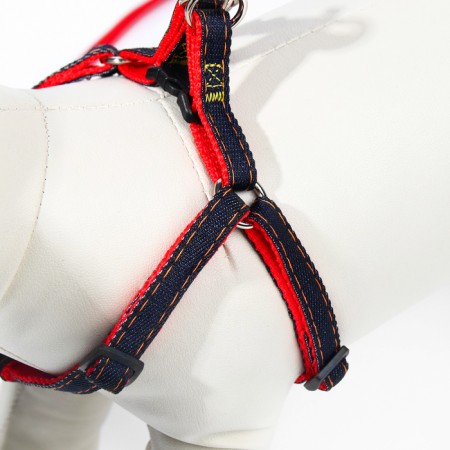 Kit "jeans", leash 120 x 1 cm, og 25-40 cm, red-4
