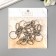 Browler Metal "Carabin" set 10 pcs 5.7x2.2 cm