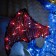 LED figure "Dragon", 85 × 70 × 90 cm, 30 watts, 220 V