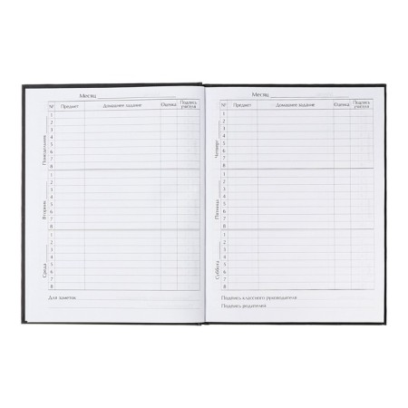 Universal diary for grades 1-11, Street Sport, solid cover 7BC, matte lamination, foil embossing, 40 sheets-7