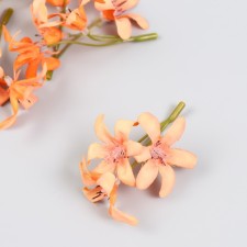 Flowers for decorating 