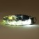 Collar with Militari's backlight 3 glow modes size XL, Osh 60-70 x 2.5 cm gray gray