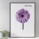 Photo frame plastic LIDA 50x70 cm black