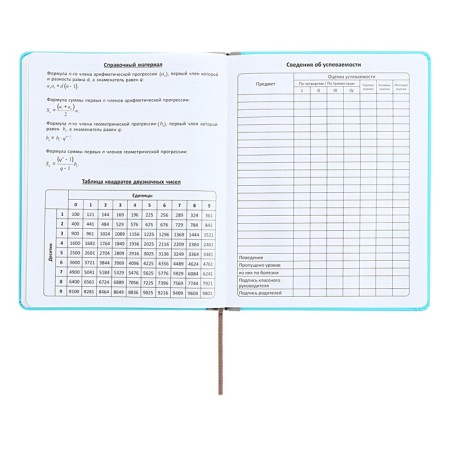 Universal diary for grades 1-11 Excellent, solid cover of artificial leather, silkography, lies, 48 ​​sheets, blue-13