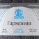 Yarn "Harmony" 50% wool, 50% acrylic 245m/100g (169 gray)