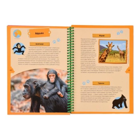 Animal planets. Children's Encyclopedia (in the box)-1