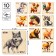 Puzzles developing for babies. Pictures - Half of children's "Animals"