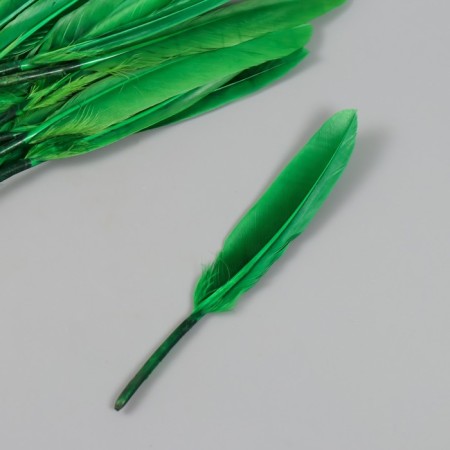 Decorative goose penis "bright green" set 30 pcs h = 10-12 cm-2