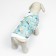 Dog jacket "Tenderness", size m
