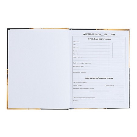 Universal diary for grades 1-11, "golden ball", a solid cover 7BC, glossy lamination, 40 sheets-4