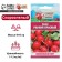 Seeds Radis "Early Red", 2 g