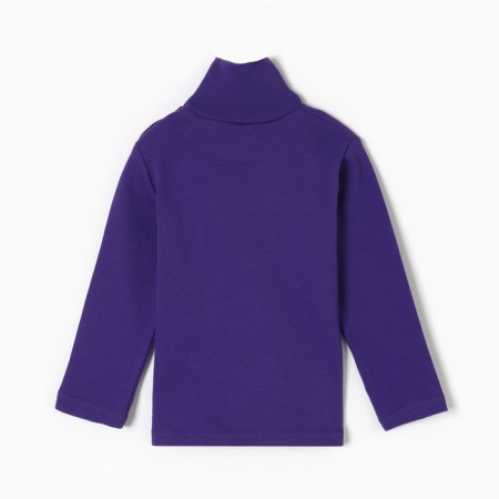 Turtleneck for girls, purple color, height 98 cm-3