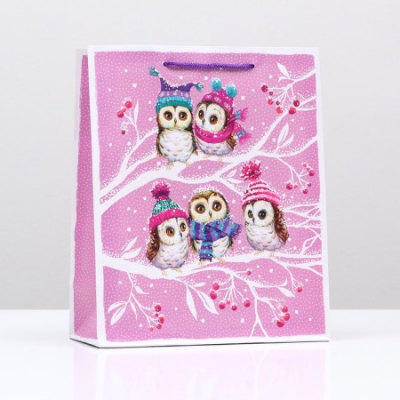 Gift package "Tender owls", 26 x 32 x 12 cm