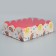 Bearbox, confectionery packaging with PVC lid, "Favorite Educator", 20 x 30 x 8 cm