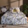 Bed linen Ethel 1.5 joint venture Flora and Spring (type 2) 143x215 cm, 150x214 cm, 70x70 cm 2 pcs