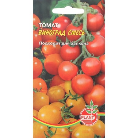 Seeds Tomat "Grapes mixture", 25 pcs