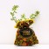 Seedling Kuril tea (cinquefoil) gold flight, pot P9, summer 2024