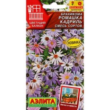 Flowers of the Brahcom 