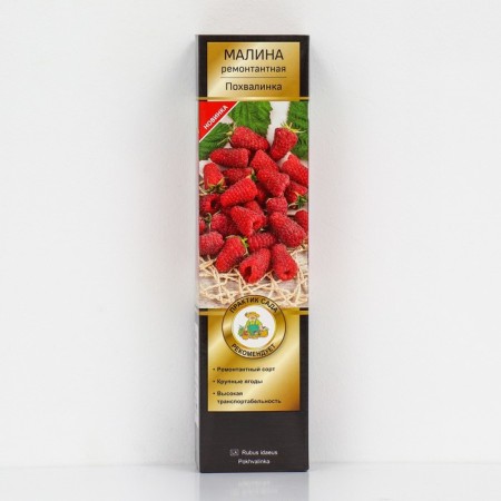 Raspberry repair varieties luxury "Praise" 1 pc, tube, spring 2025