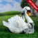 Garden figure "Swan with chicks" 30x20x23cm