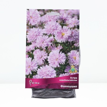 Astra Novobelgian Fallower, Rr. I, 1 pc, spring 2025