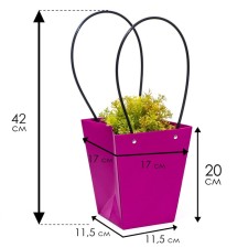Fuchsia flowers, moisture -resistant, 17 x 17 - 11.5 x 11.5 - 20 cm