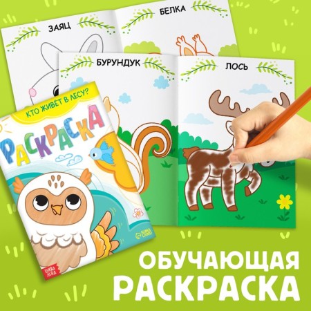 Set 3 in 1 “residents of the forest”: 12 puzzles, a book with stickers, coloring-4
