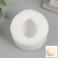 Mold Silicon 