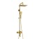 The shower system wasserkraft a155.198.201.bg, tropical shower, shower, gold
