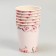 Set of paper dishes disposable delicate peonies "
