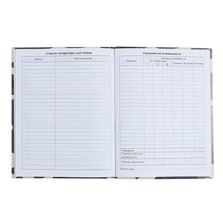 Universal diary for grades 1-11, "plane", solid cover 7BC, glossy lamination, 40 sheets-8