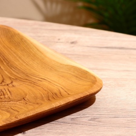Dish 25x20x2 cm, tick tree-2