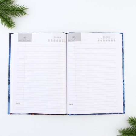 Gift New Year's set. Diary and thermostat of the "Magic New Year!"-3