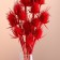 A set of dried flowers "Brush", a ban 7-8 pcs, length 50 (+/- 6 cm), red