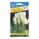 Flower seeds pampas grass "White Shlef", 0.1 gr