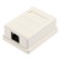 Computer outlet Rexant RJ-45, 1 port, invoice, CAT 5E