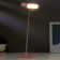 Table lamp 1670/1 LED 5W 2 modes 3000K 6000K USB battering rose 13x10.4x34 cm Risalux