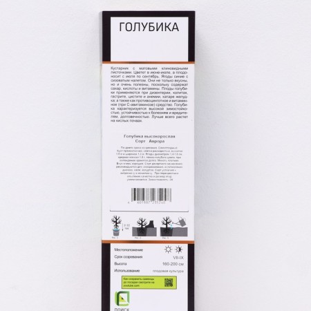 High -rise blueberry "Aurora", 1 pc, tube, spring 2025-1