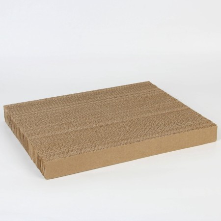 House with clawshell, 45 x 41 x 45.5 cm-6
