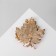Brooch "Liszt" Double Maple, Colored in Gold