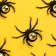 Spiders with gold, set 12 pieces