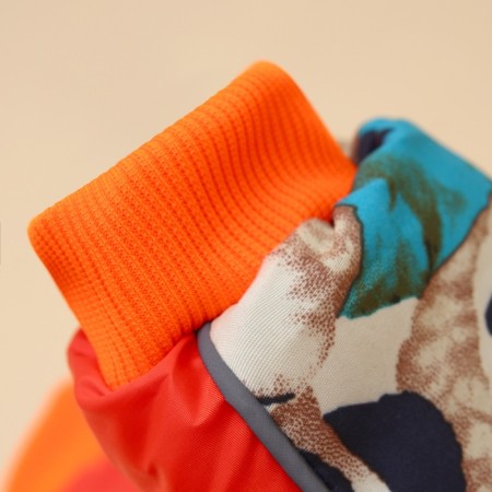 Dogs "Bear Teddy", size 22 (DS 48, OG 54, Osh 38 cm), orange-8