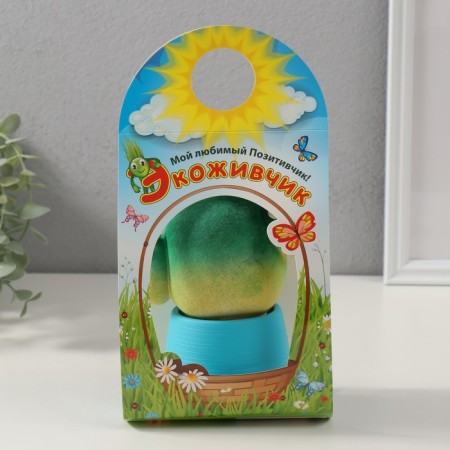 Growing gift Eco -Zhizhivchik "Cactus in a pot" Blue-5