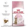 Dry food RC Kitten Sterilized for sterilized kittens, 2 kg