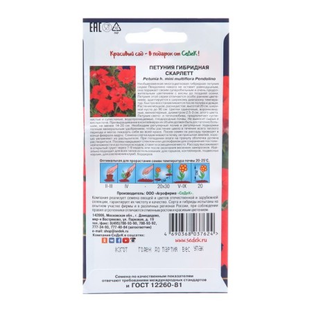 Flowers of Petunia "Scarlett", Euro, 5 pcs-1