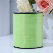 Lent for decor and gifts, light green, 0.5 cm x 500 m