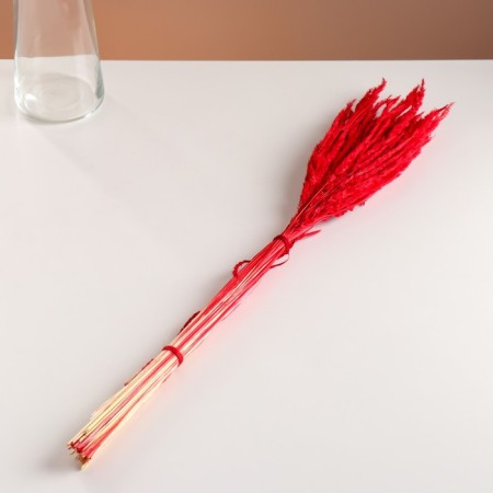 Set of dried flowers "Weinik", banch length 65 (+/- 6 cm), red-3