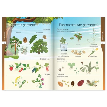 A set of books-scrolls "World of Nature and Man", 6 pcs.-4