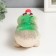 Growing gift Eco -Zenitika "Caterpillar 2" MIX Gift packaging