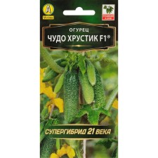Seeds of cucumber 